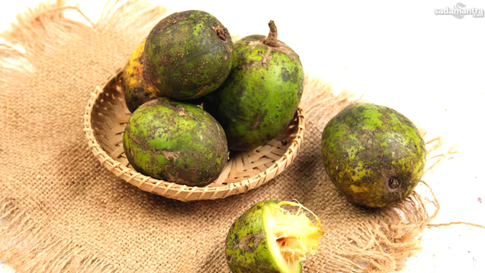 Manfaat Buah Kedondong Bagi Kesehatan