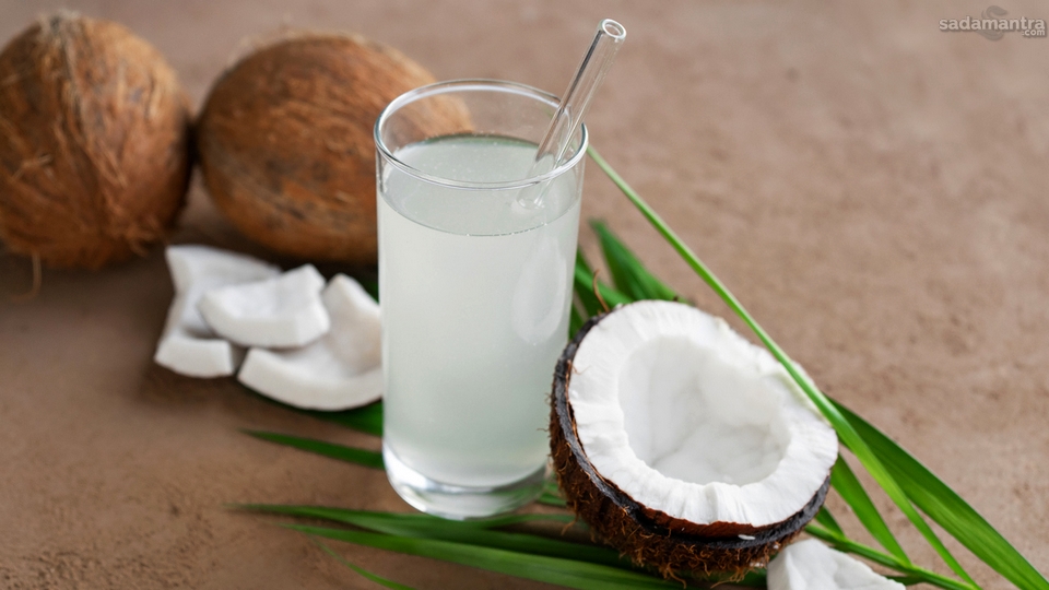 Manfaat Buah Kelapa Bagi Kesehatan