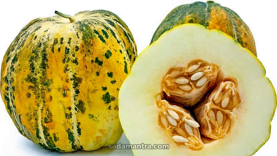 Manfaat Kesehatan dari Buah Blewah