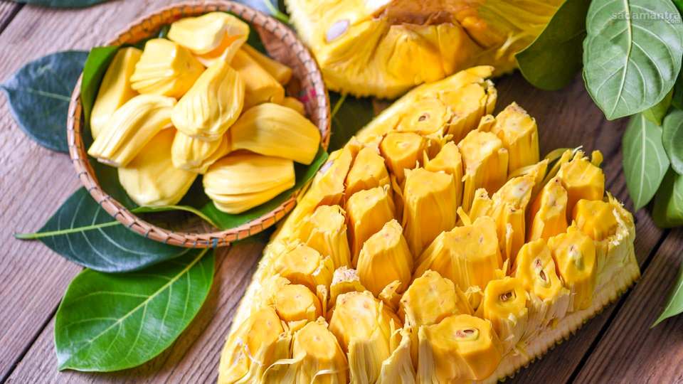 Manfaat Kesehatan dari Buah Nangka