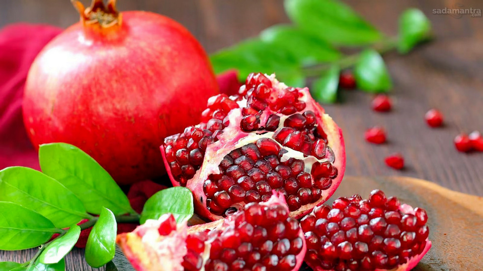 Mengkonsumsi Buah Demila Membantu Pencegahan Penyakit Kanker