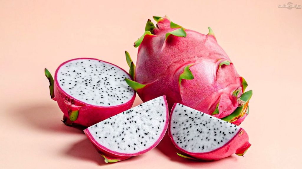 Buah naga keajaiban tropis dengan segudang manfaat kesehatan