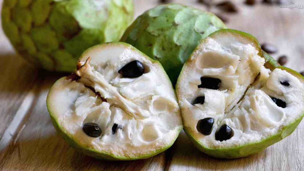 Buah Srikaya manfaat kandungan nutrisi dan berbagai olahannya