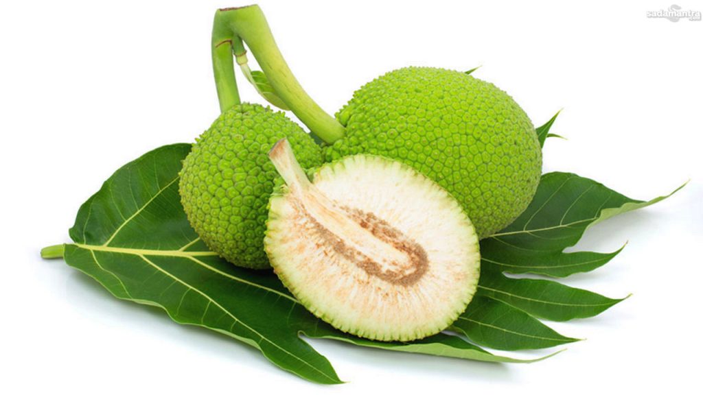 Buah sukun sumber karbohidrat kaya manfaat