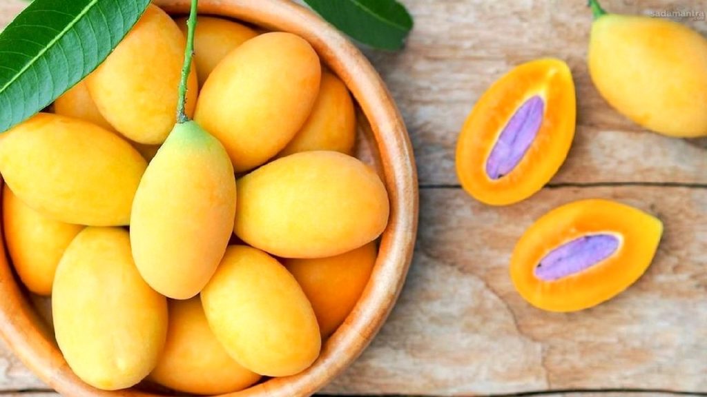 Gandaria rempah dengan sejuta manfaat bagi kesehatan