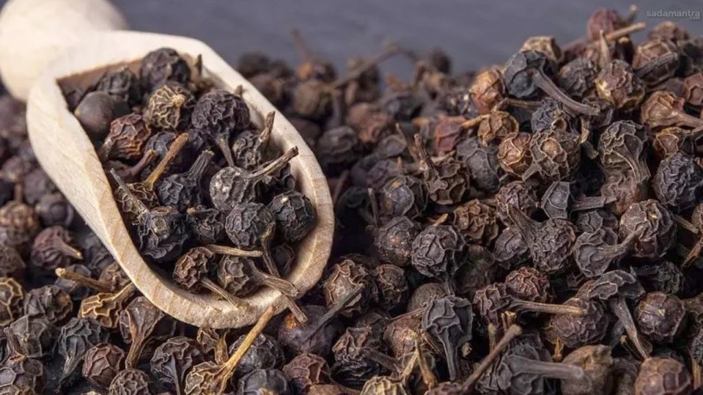 Kemukus rempah berkhasiat untuk kesehatan