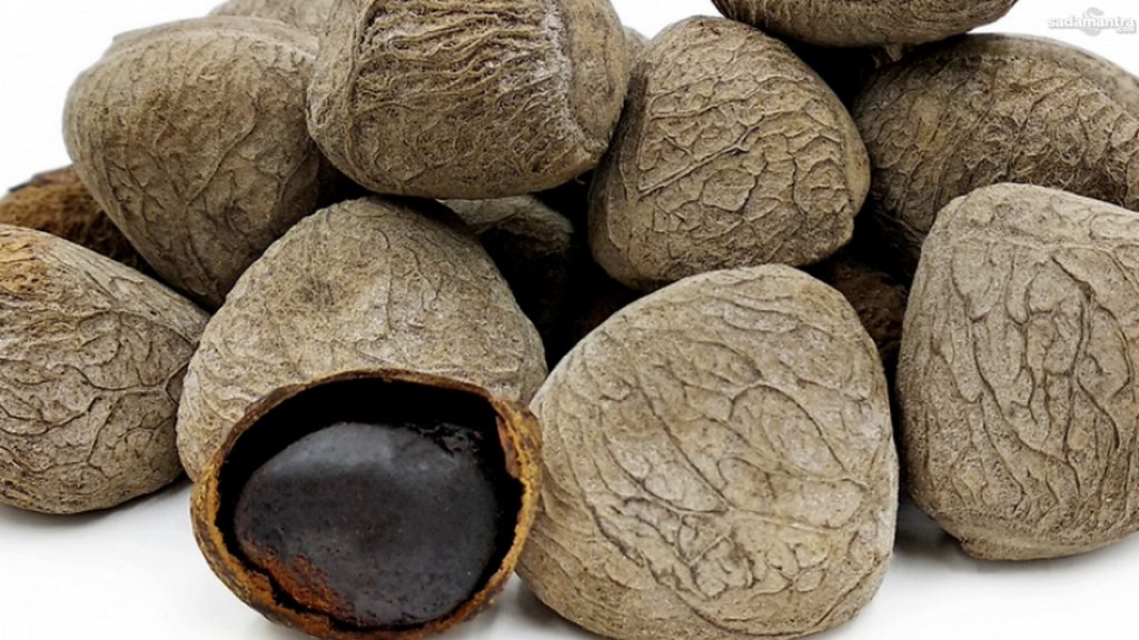 Kepayang rempah khas dengan ragam manfaat dan kegunaan