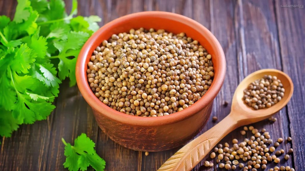 Ketumbar rempah serbaguna dengan segudang manfaat