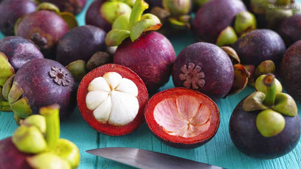 Manfaat buah manggis bagi kesehatan