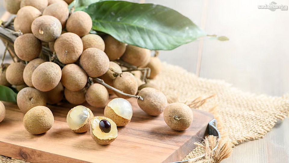 Pengertian, Asal Usul, dan Jenis-Jenis Lengkeng