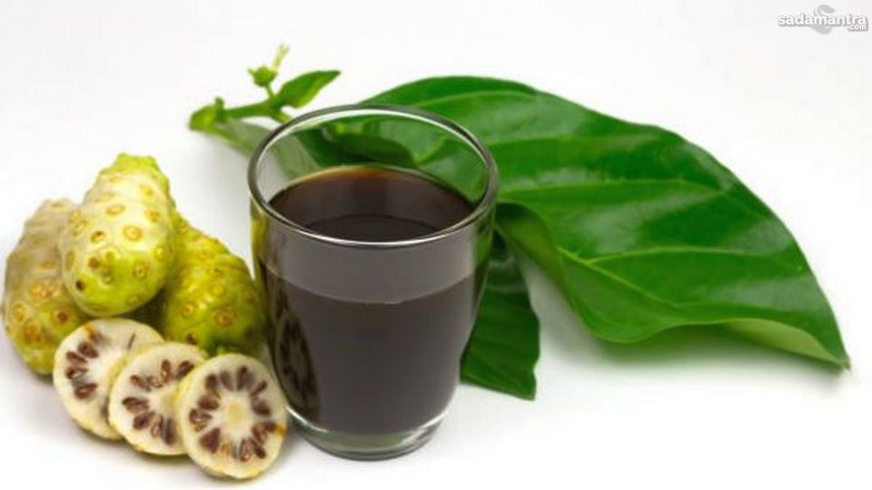 Resep olahan makanan dan minuman dari mengkudu