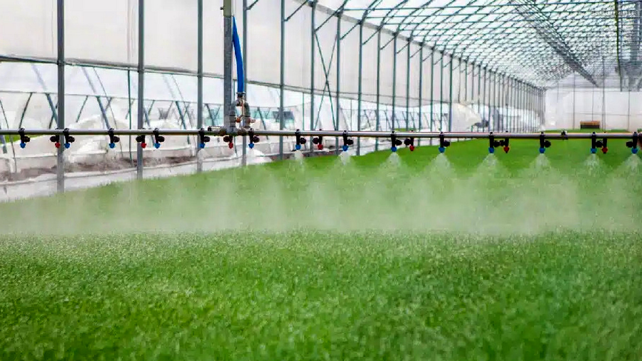 Greenhouse pintar dan sistem irigasi otomatis