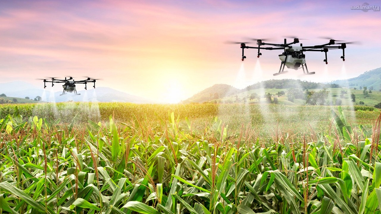 Penggunaan drone dalam pemantauan tanaman